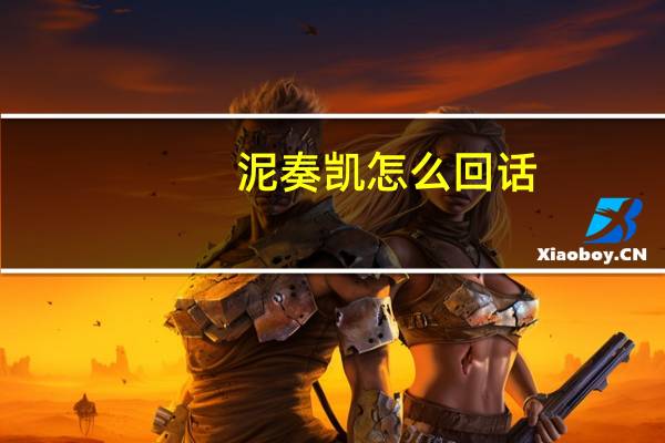 泥奏凯怎么回话（泥奏凯）