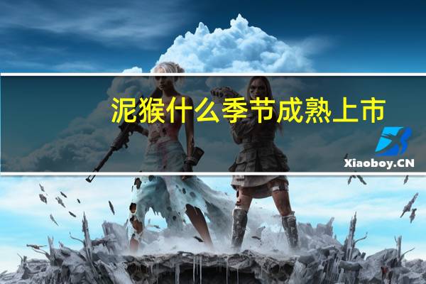 泥猴什么季节成熟上市