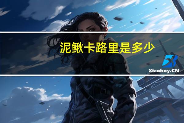 泥鳅卡路里是多少
