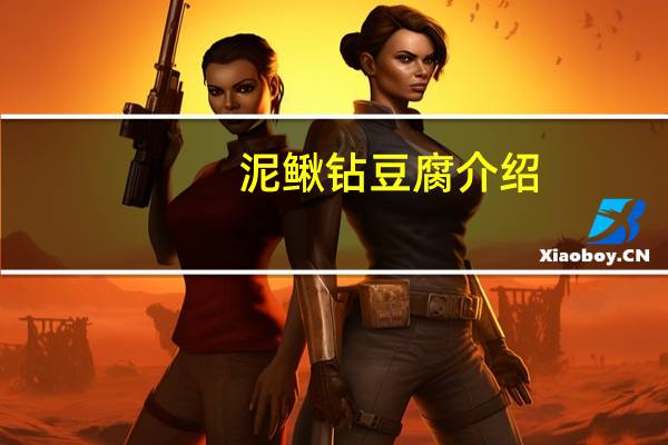 泥鳅钻豆腐介绍