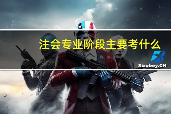 注会专业阶段主要考什么
