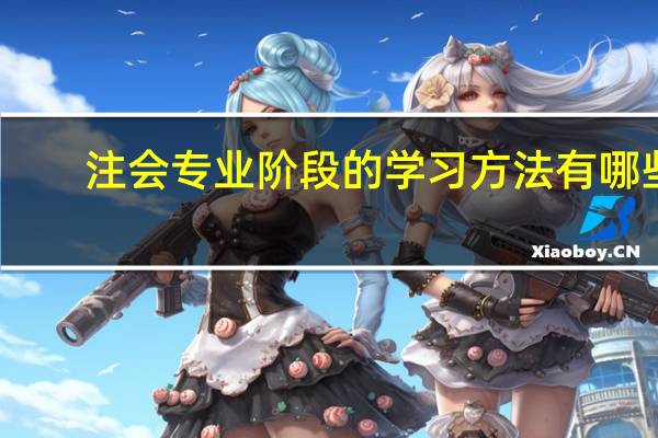 注会专业阶段的学习方法有哪些