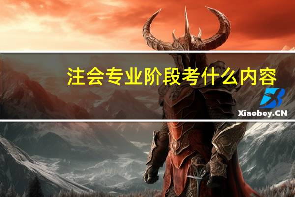 注会专业阶段考什么内容
