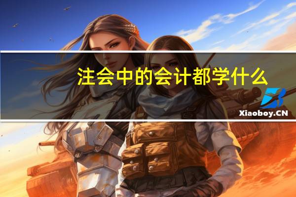 注会中的会计都学什么