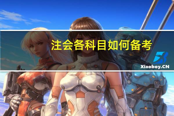 注会各科目如何备考