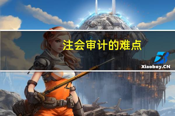 注会审计的难点