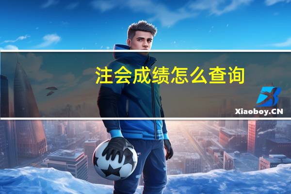 注会成绩怎么查询