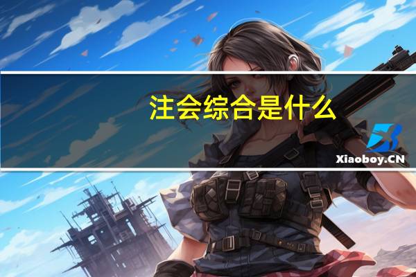 注会综合是什么