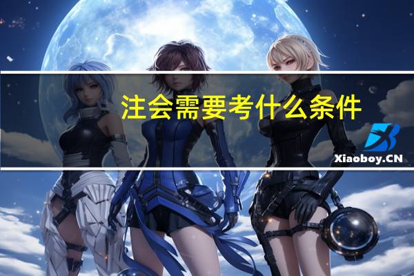 注会需要考什么条件