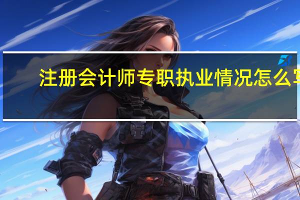 注册会计师专职执业情况怎么写