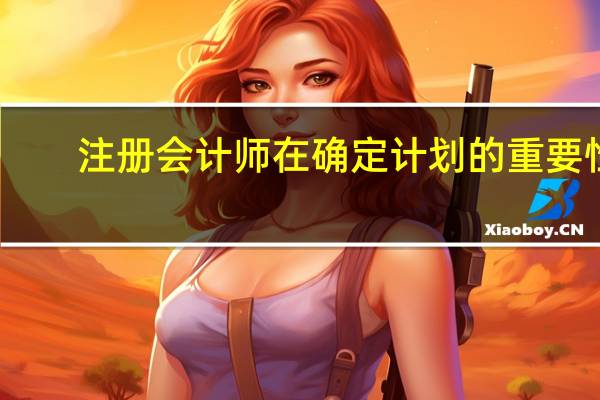 注册会计师在确定计划的重要性