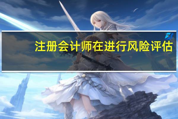 注册会计师在进行风险评估