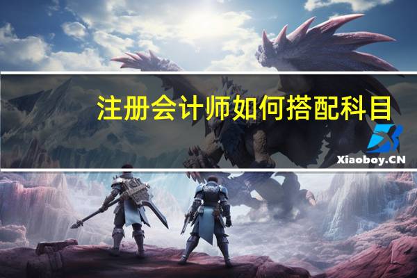 注册会计师如何搭配科目