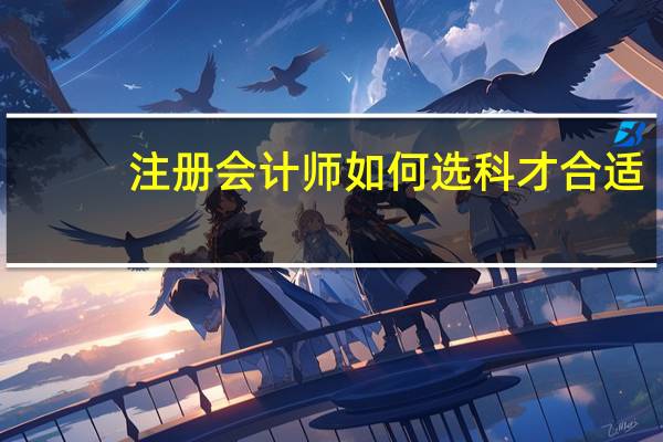 注册会计师如何选科才合适