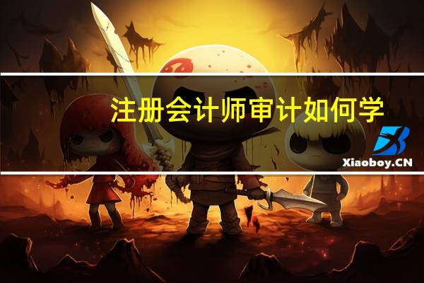 注册会计师审计如何学
