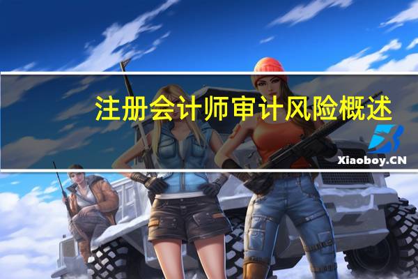 注册会计师审计风险概述