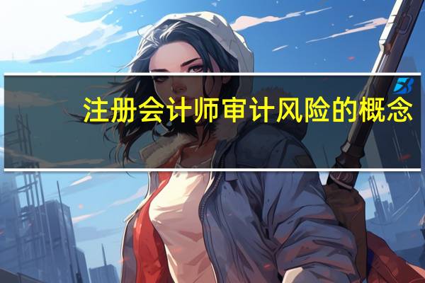 注册会计师审计风险的概念