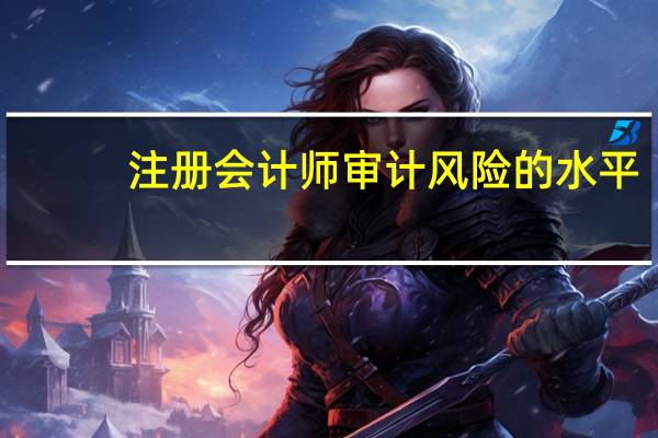注册会计师审计风险的水平