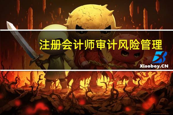 注册会计师审计风险管理