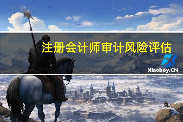 注册会计师审计风险评估