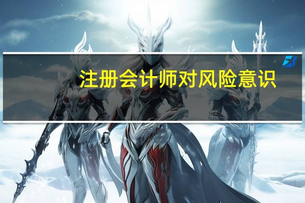 注册会计师对风险意识