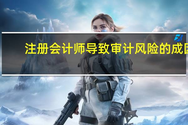 注册会计师导致审计风险的成因