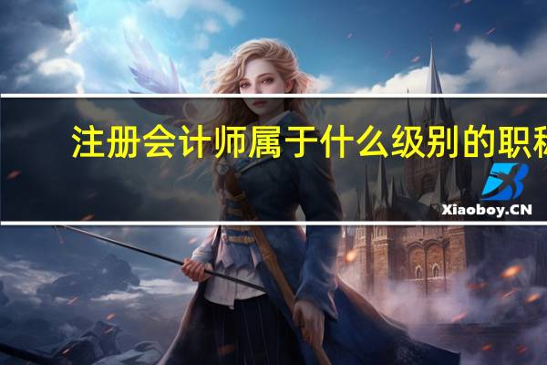 注册会计师属于什么级别的职称