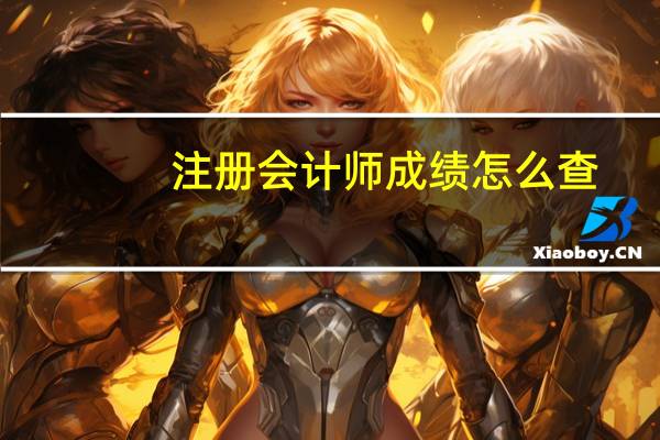 注册会计师成绩怎么查