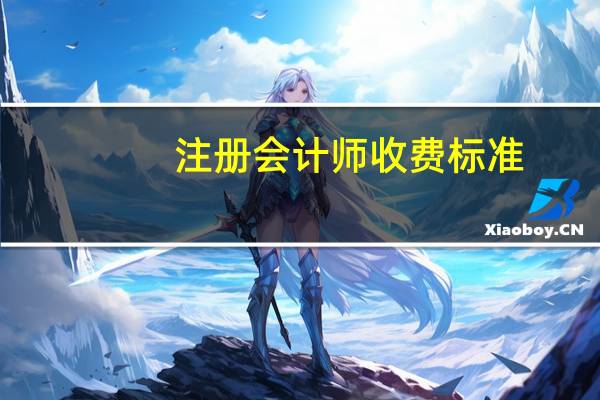 注册会计师收费标准