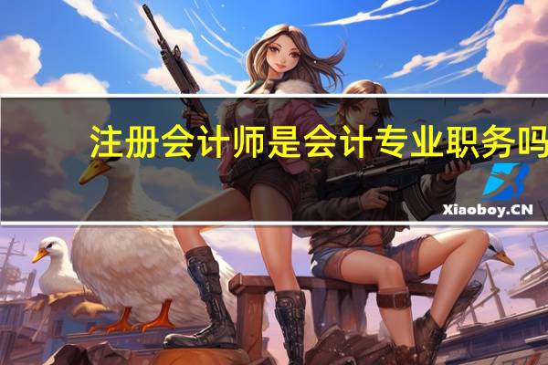 注册会计师是会计专业职务吗