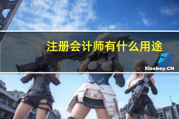 注册会计师有什么用途