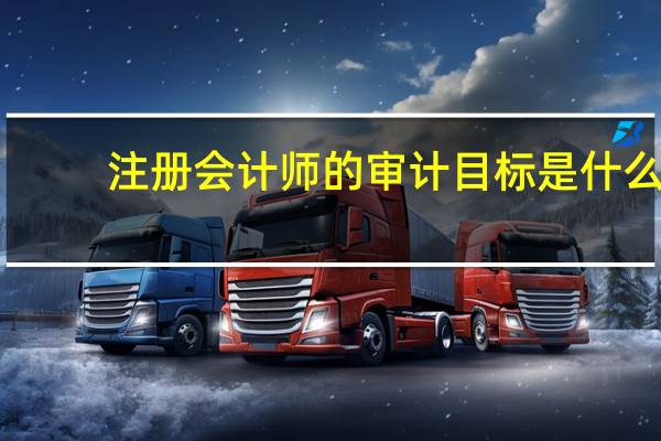 注册会计师的审计目标是什么