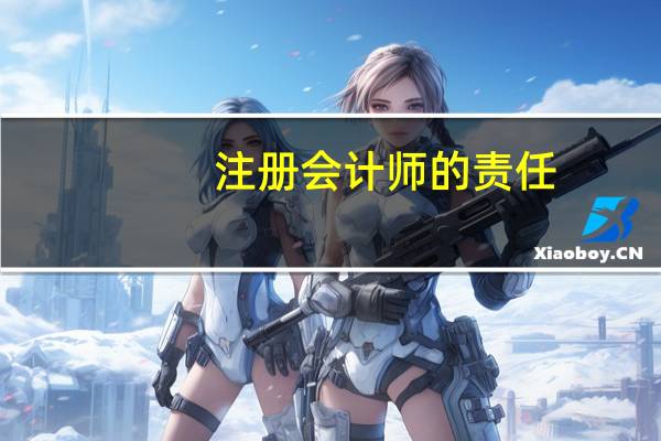 注册会计师的责任