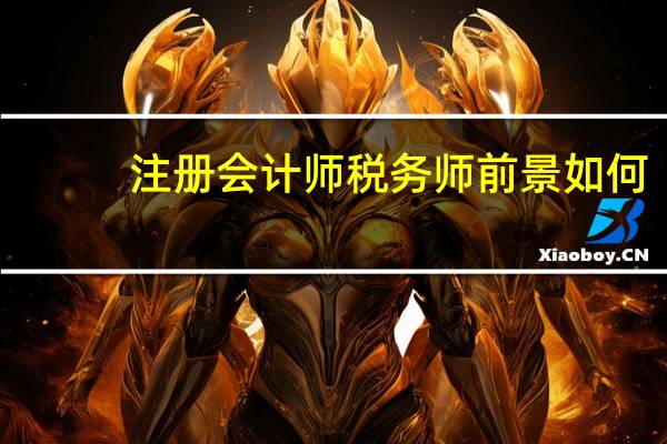 注册会计师税务师前景如何