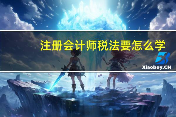 注册会计师税法要怎么学
