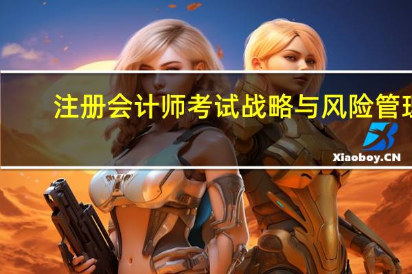 注册会计师考试战略与风险管理