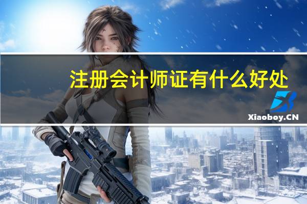 注册会计师证有什么好处