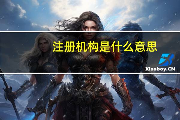 注册机构是什么意思
