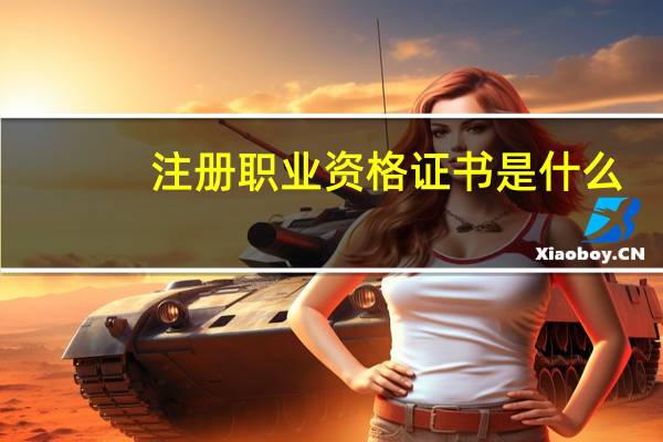 注册职业资格证书是什么
