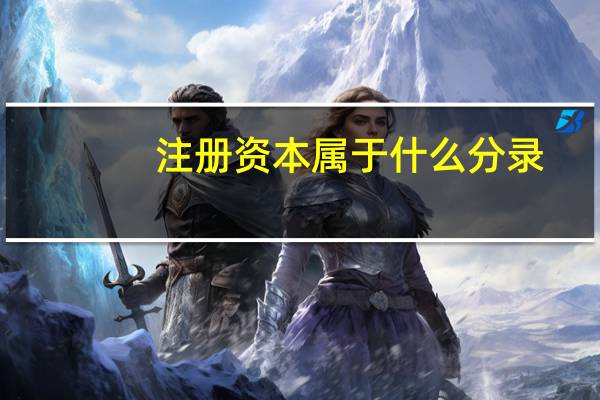 注册资本属于什么分录