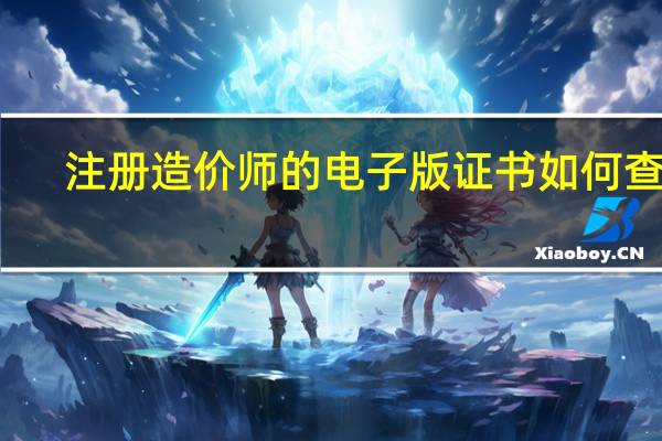 注册造价师的电子版证书如何查询