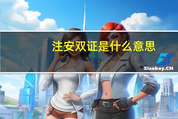 注安双证是什么意思