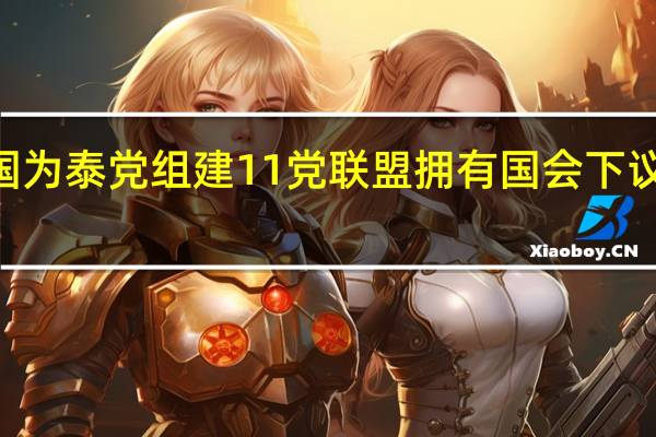 泰国为泰党组建11党联盟 拥有国会下议院314席