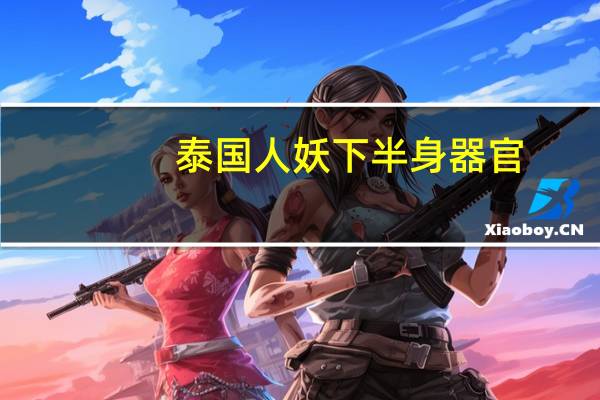 泰国人妖下半身器官（泰国人妖下半身实）