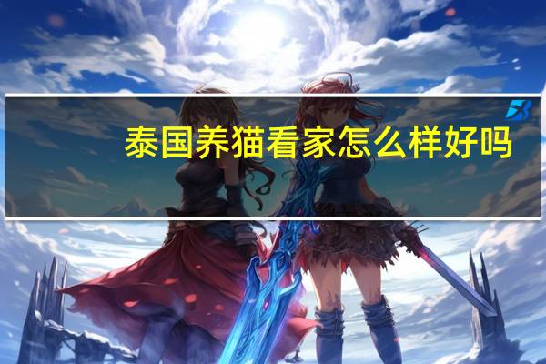 泰国养猫看家怎么样好吗
