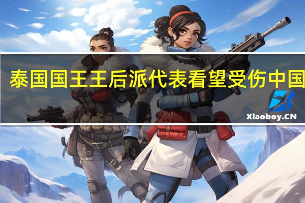 泰国国王王后派代表看望受伤中国公民