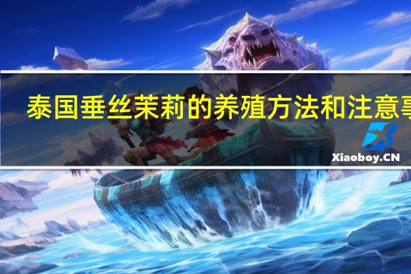 泰国垂丝茉莉的养殖方法和注意事项