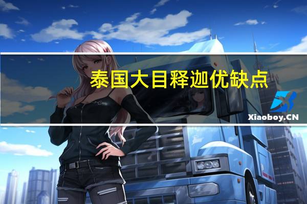 泰国大目释迦优缺点