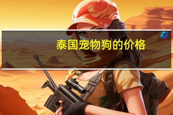 泰国宠物狗的价格