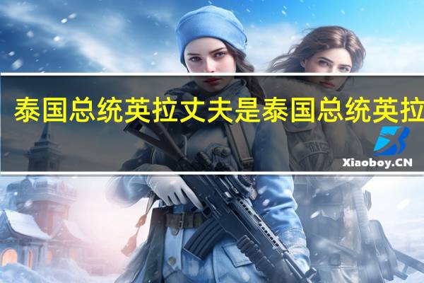 泰国总统英拉丈夫是 泰国总统英拉简历